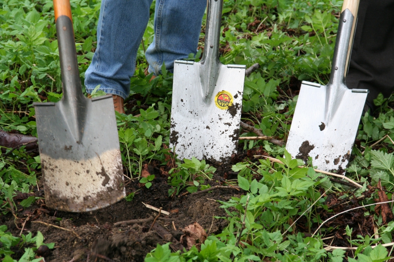 pepiniere-RIGAUD-min_work-lawn-flower-tool-green-backyard-1103633-pxhere.com